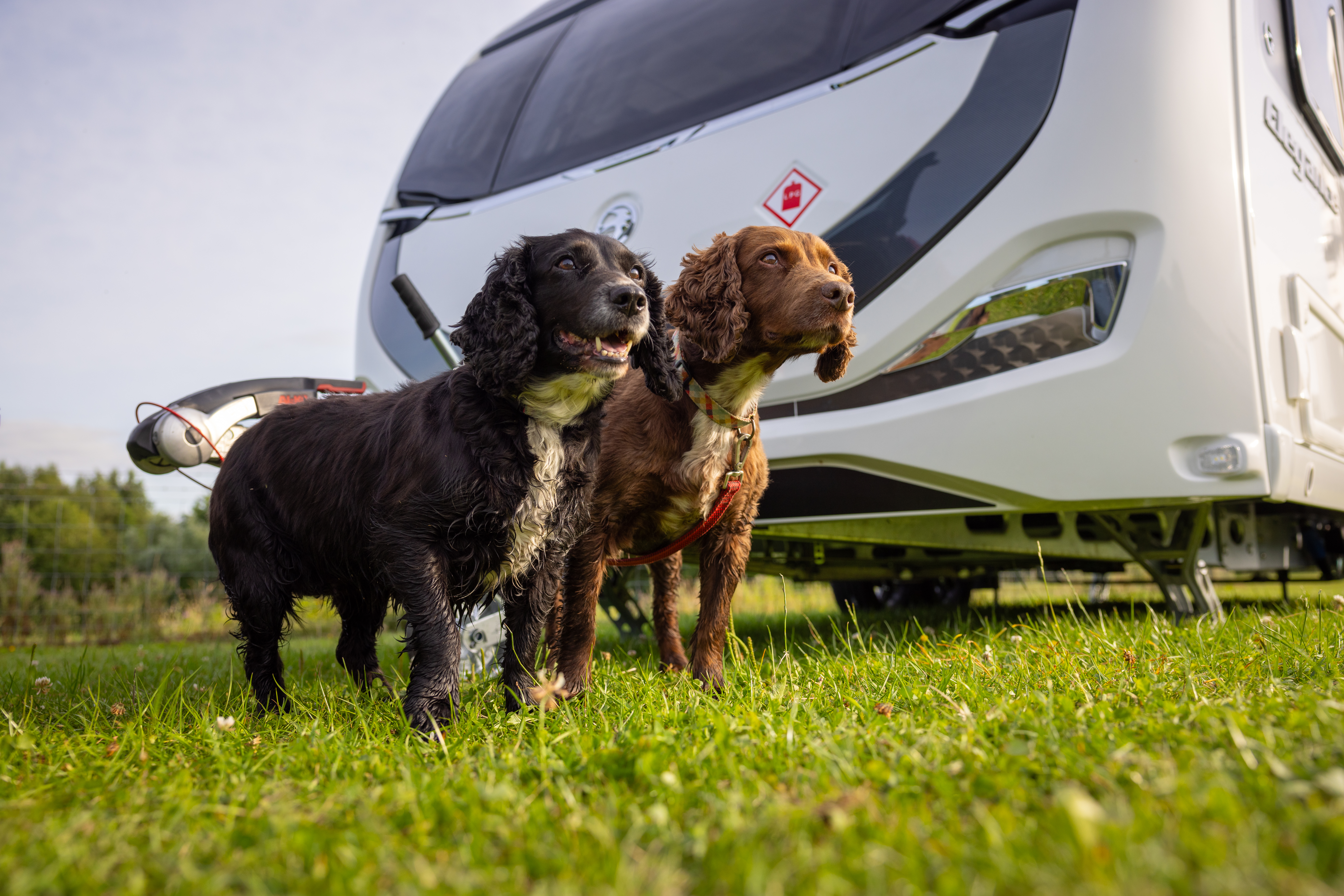 Swift caravan interior